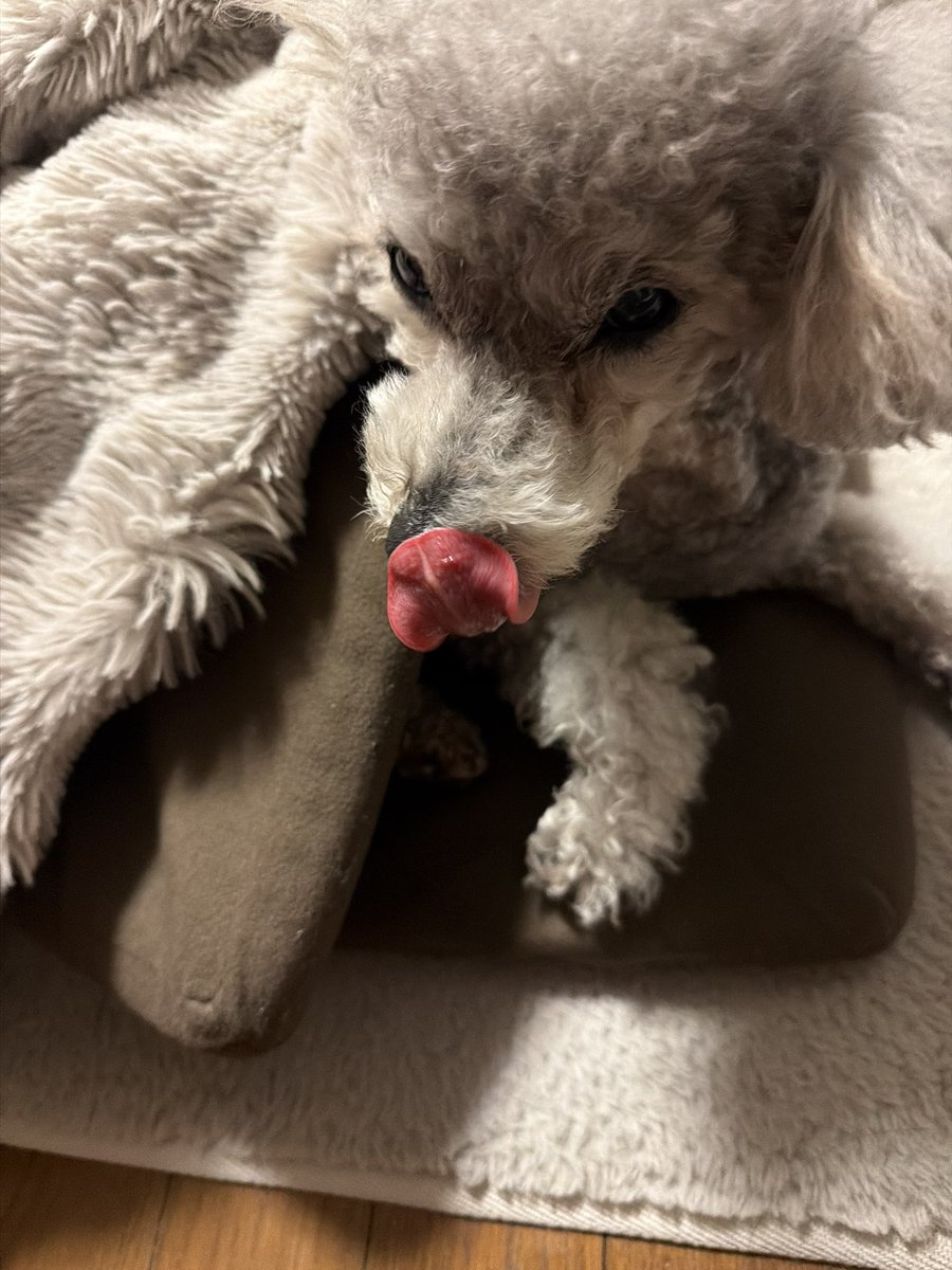 レジスタ💫💫⭐︎💫💫 tweet media