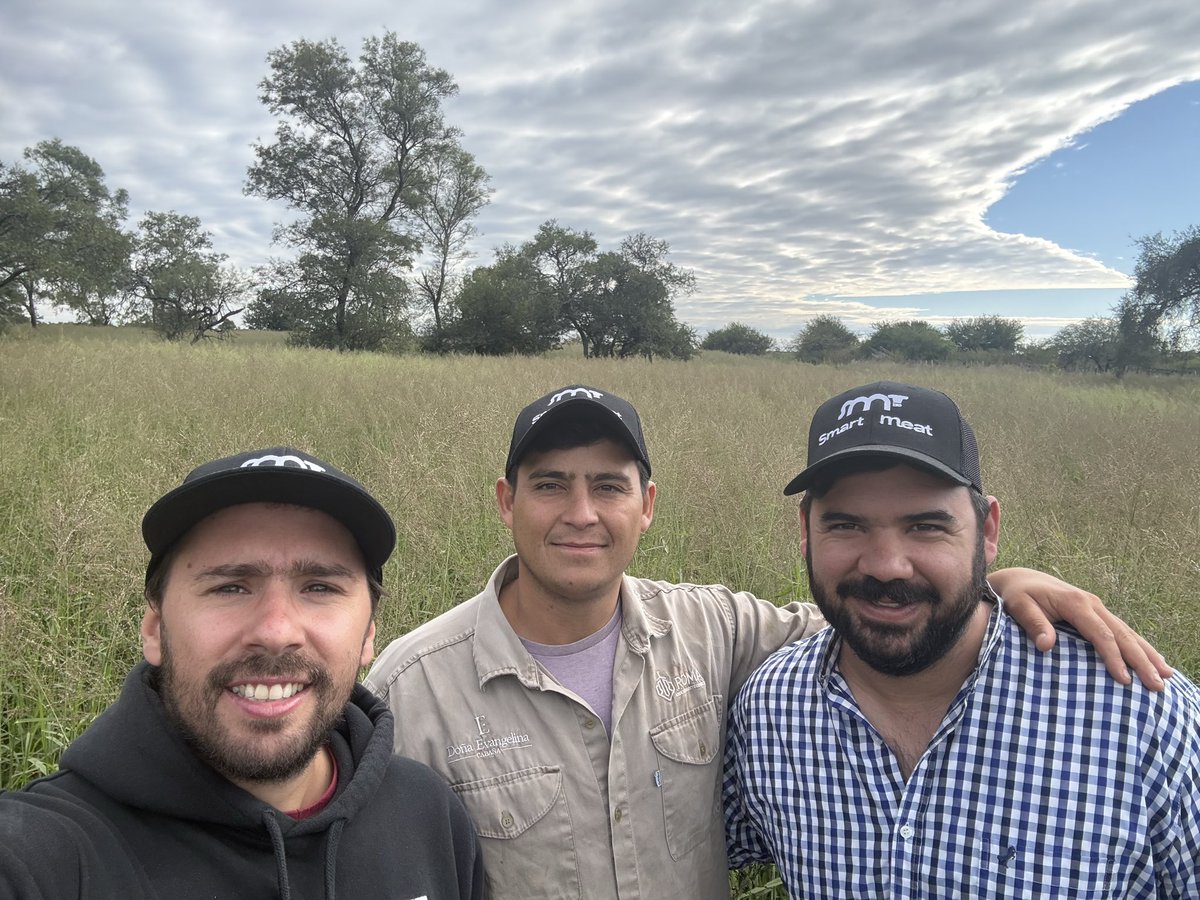 Osvaldo W. Luna 🌳🌾🐂 🇦🇷 tweet media