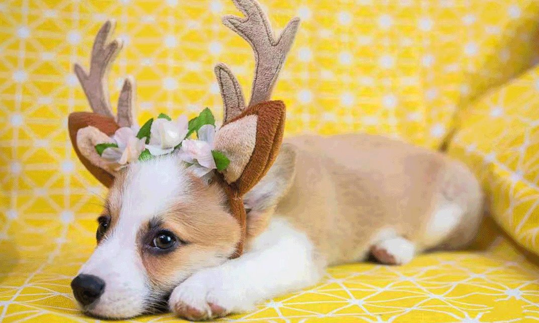 Frederick Routhier tweet media