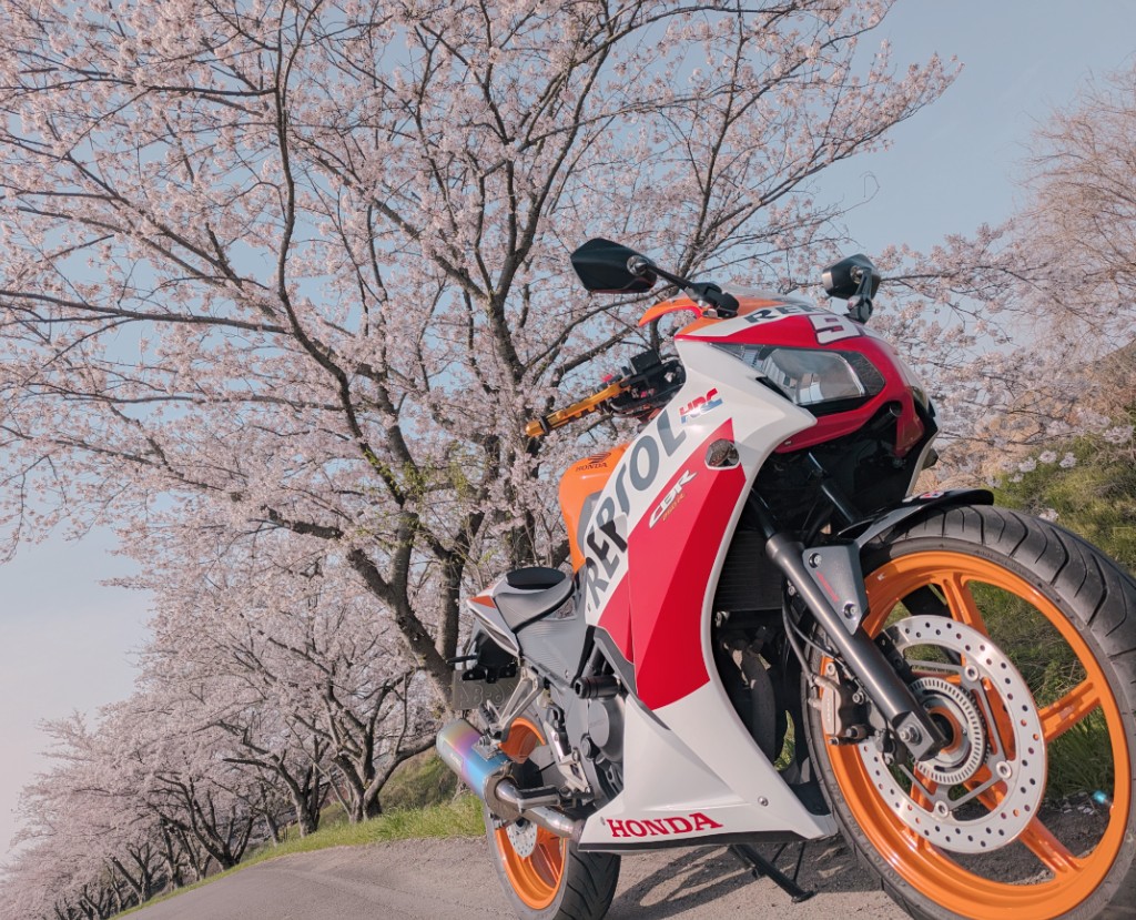 なっちゃん‎‎🌻 tweet media