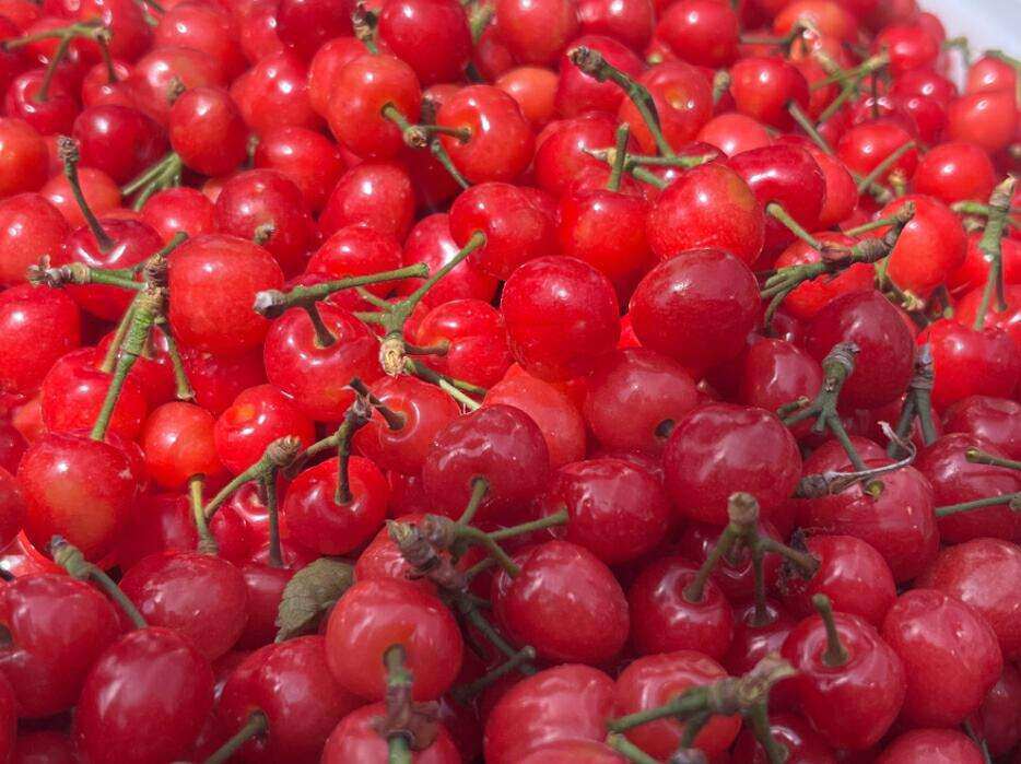 Tim Thompson tweet media