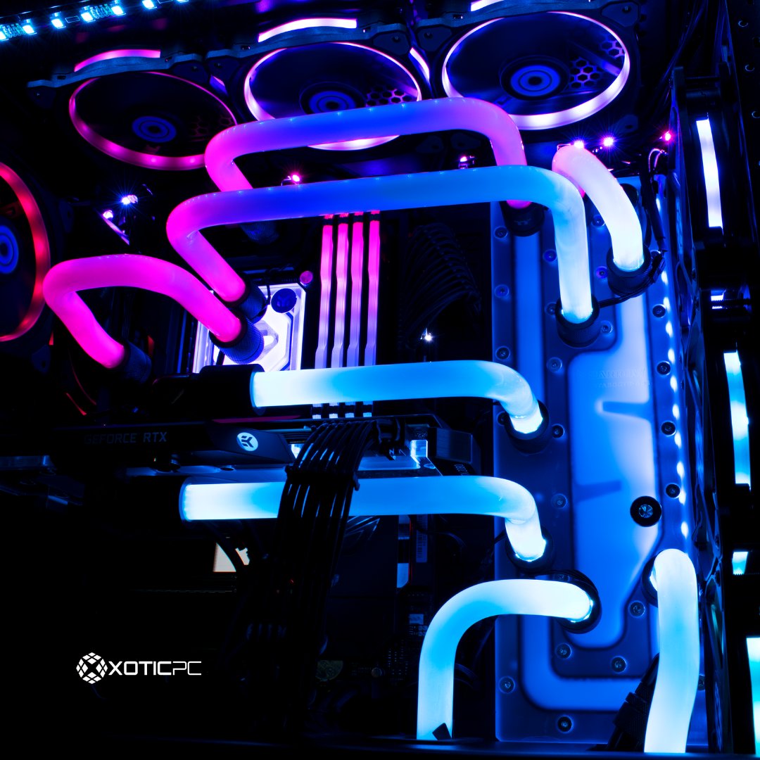 XOTIC PC tweet media