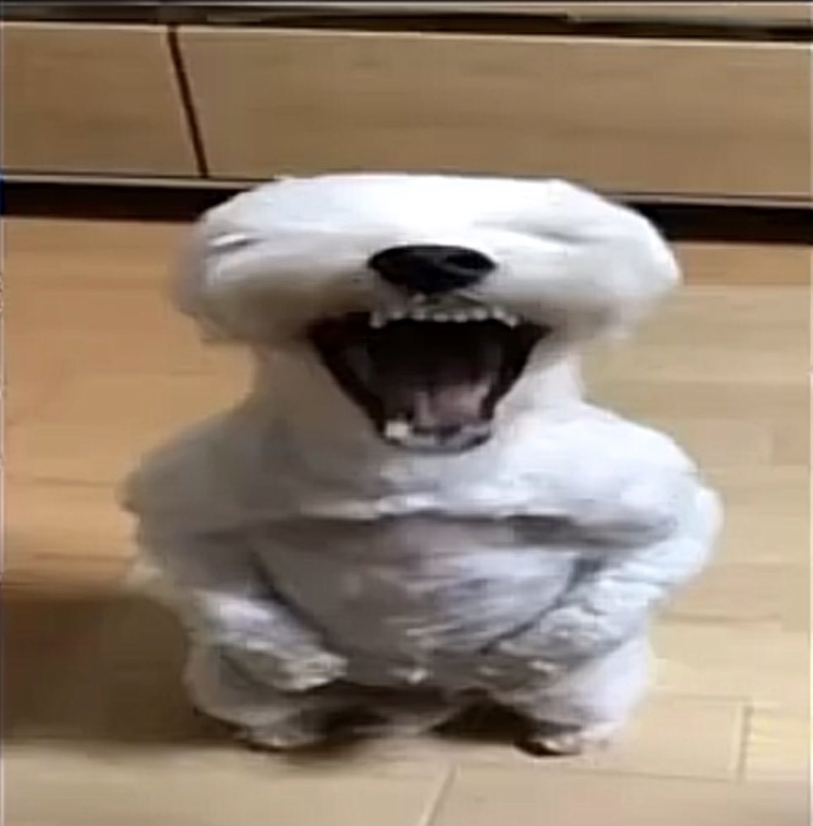 Asmodeus Alice tweet media