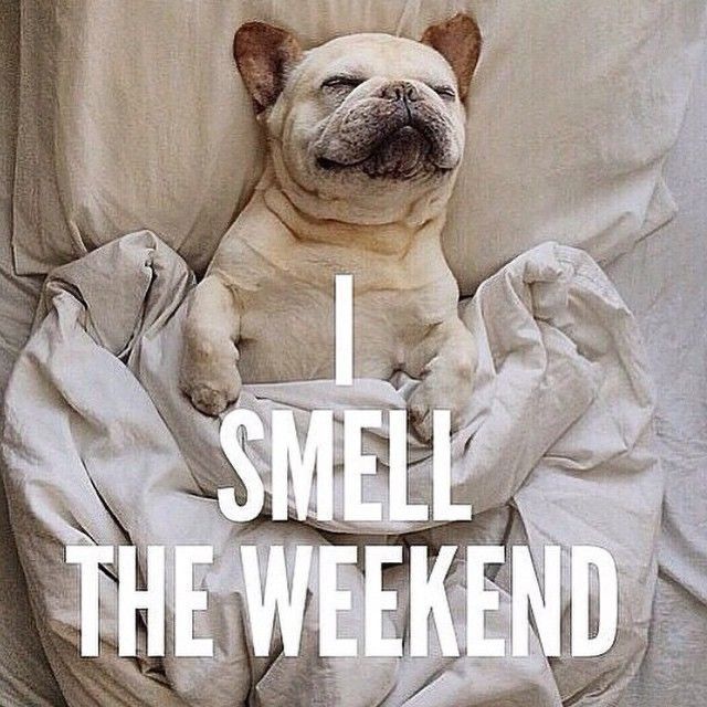 Heads up about our schedule this weekend . . . 

Dave's Dogs will be open 11am-4pm Saturday at Tractor Supply (14700 Silverdale Drive)

We'll be open 11am-4pm Sunday at 13478 Minnieville Road.

Hope to see you one (or both) days!