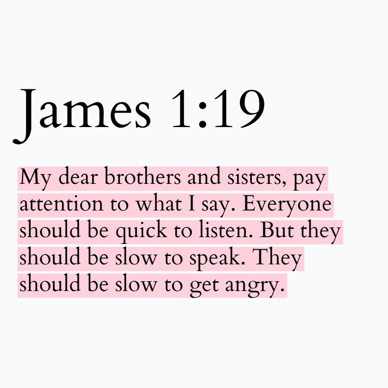 Holy Bible tweet media