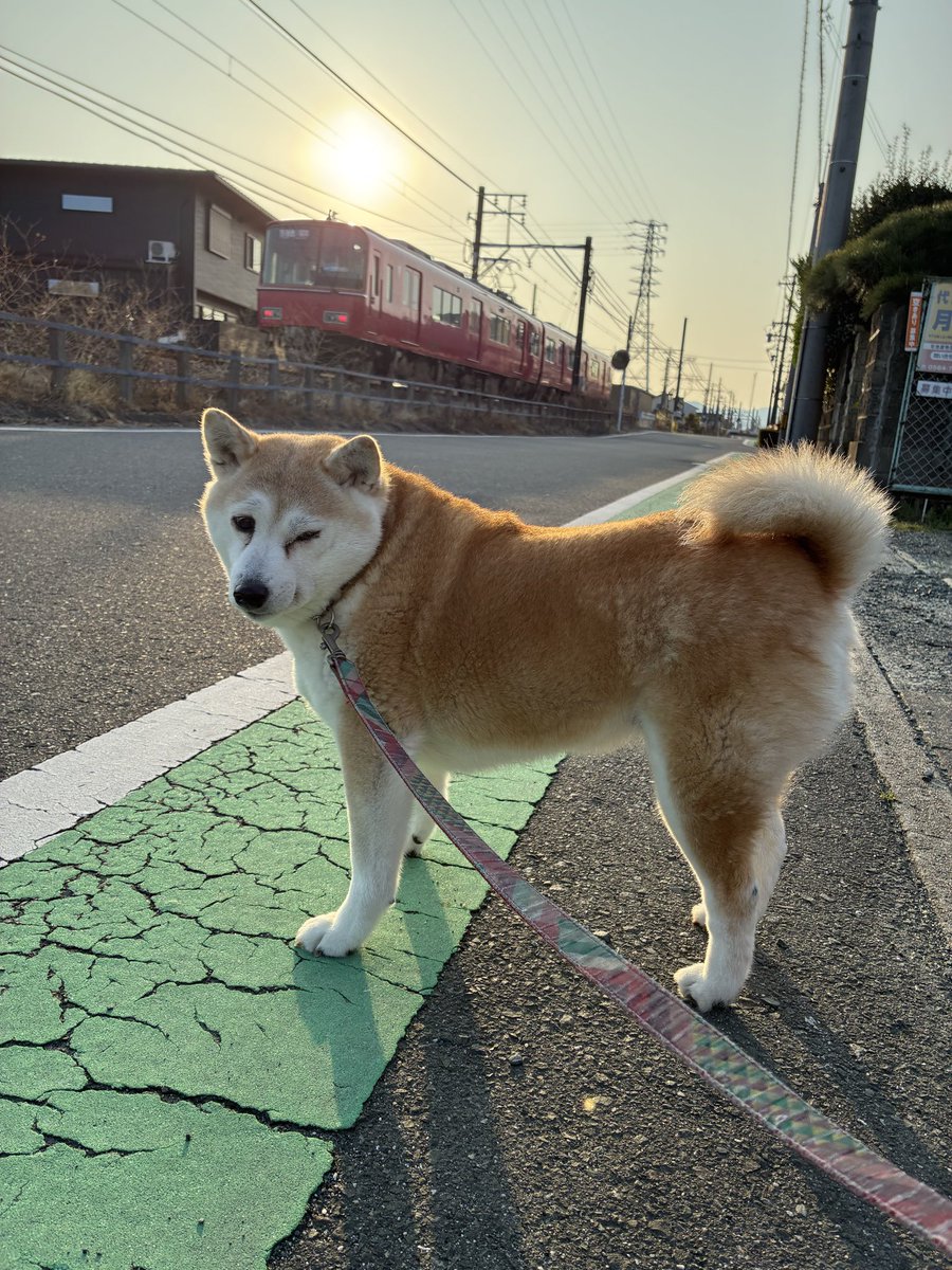 食ぱん大好き「ぱんおじさん」 tweet media