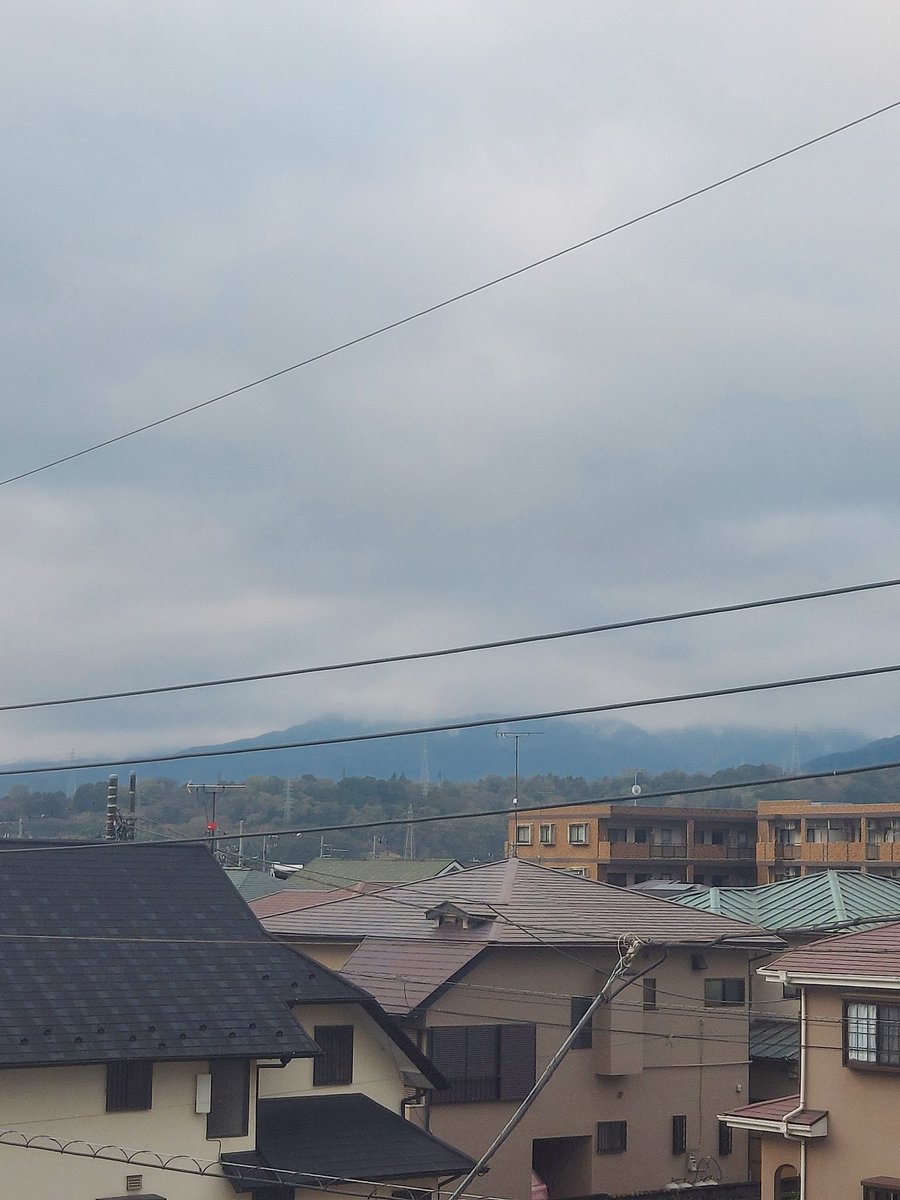 てらっちょ tweet media