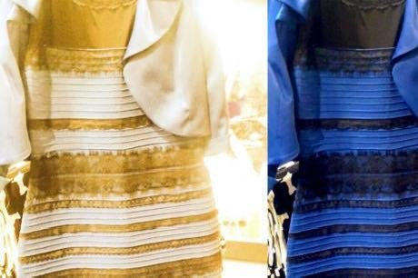 OBIORA (Commission: Open) tweet media