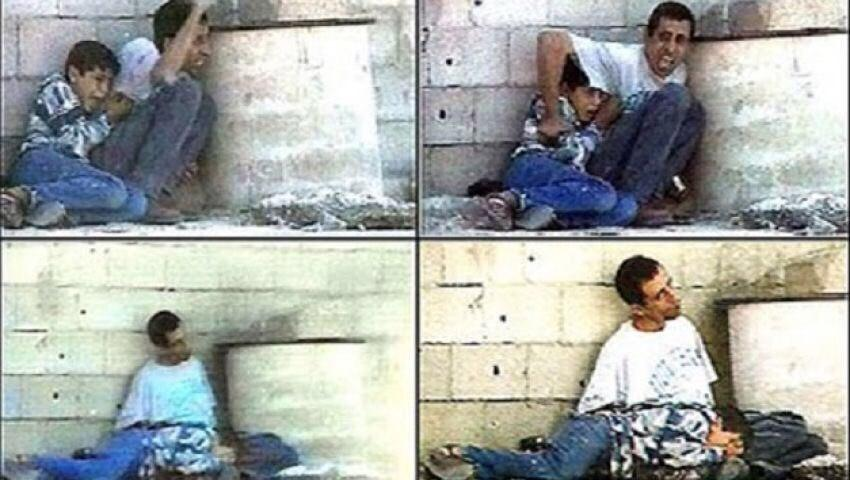 Naila Ayad🇵🇸 tweet media