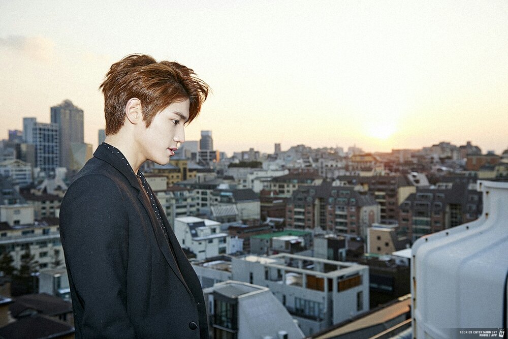 tydy archive tweet media