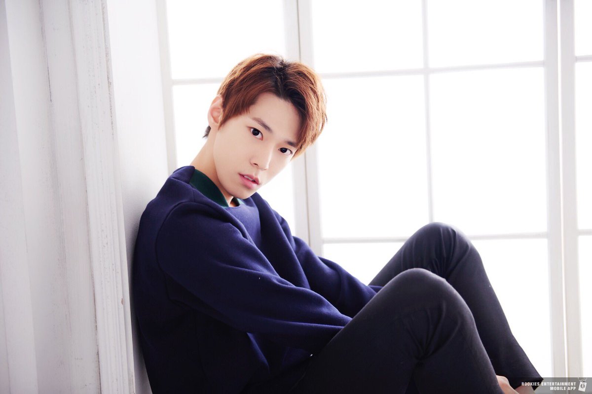 tydy archive tweet media