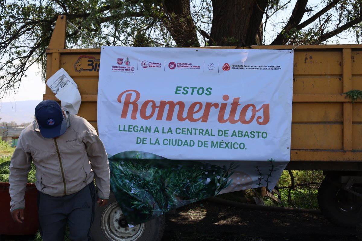 Coordinación General CEDA tweet media