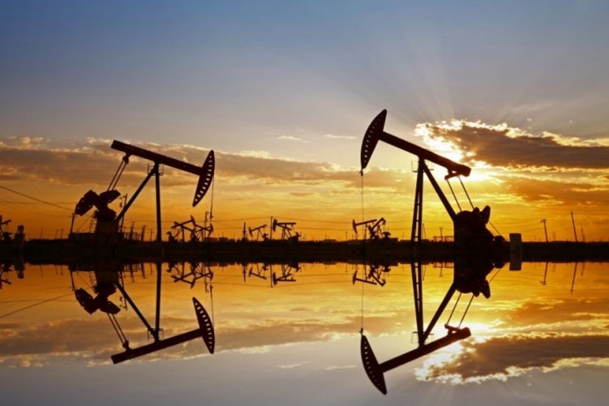 Patronlar Dünyası tweet media