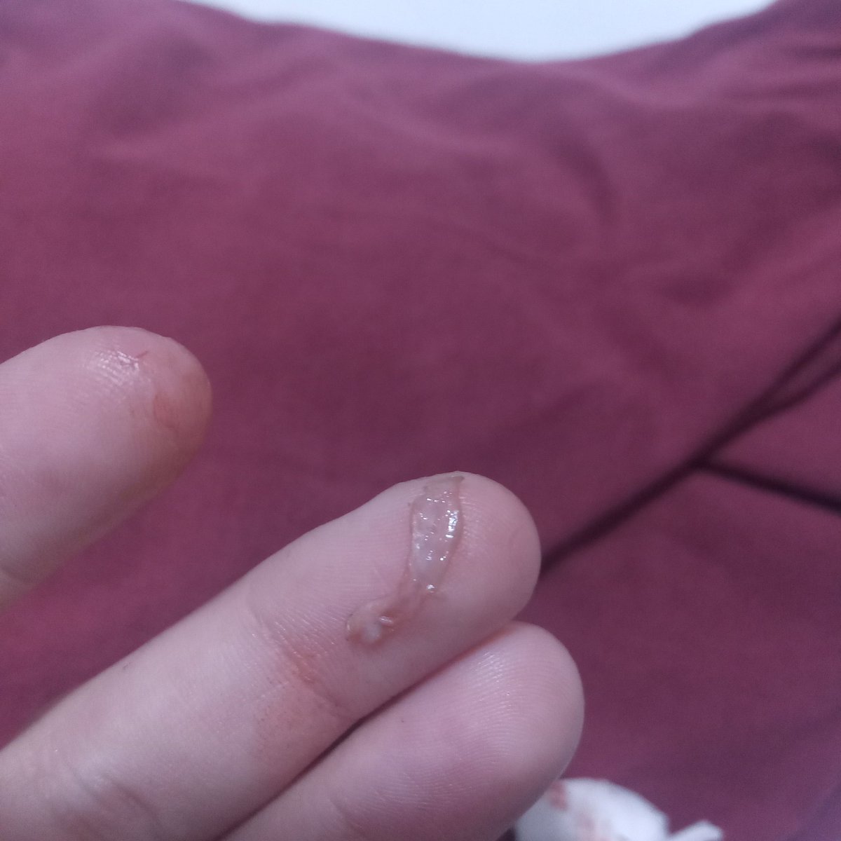 ⭑☆Gabriel★⭒ tweet media