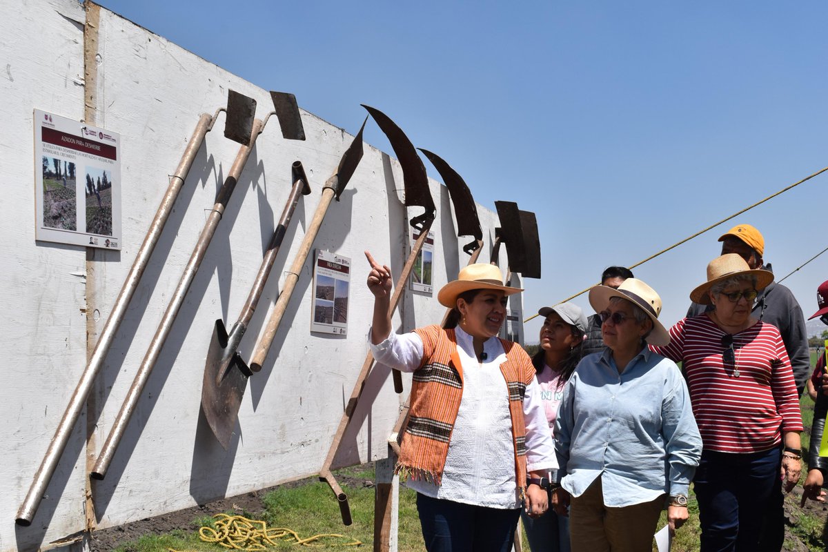 Coordinación General CEDA tweet media