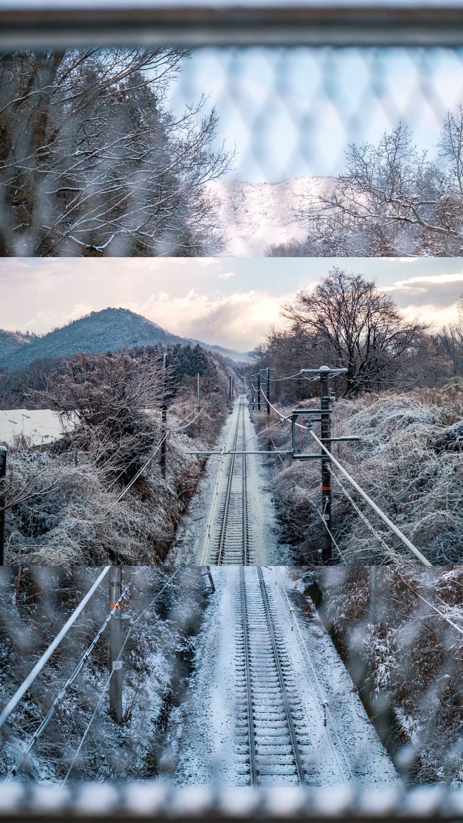 うえさん/Aliace🇯🇵 📸 tweet media