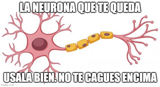 Sonathan Jescott tweet media