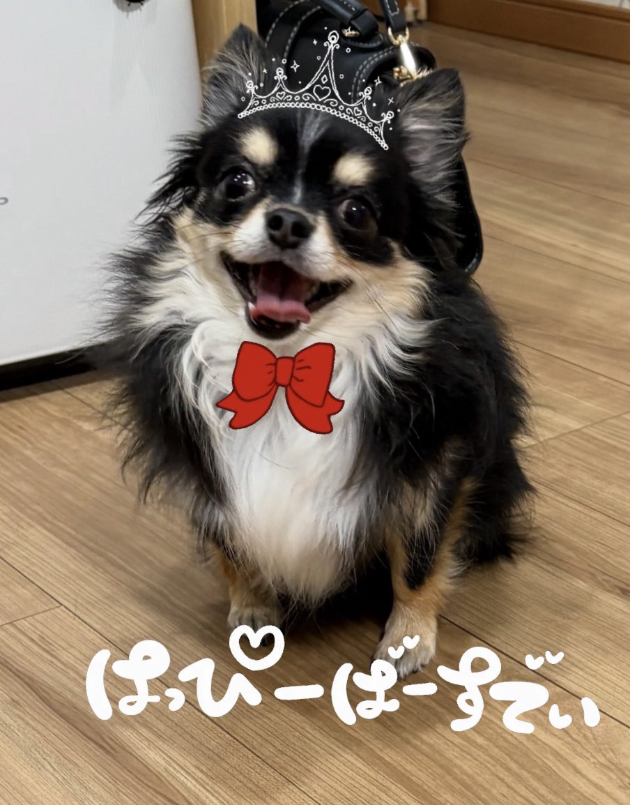 💘一ノ瀬 楽音💘らんらん🎹 tweet media