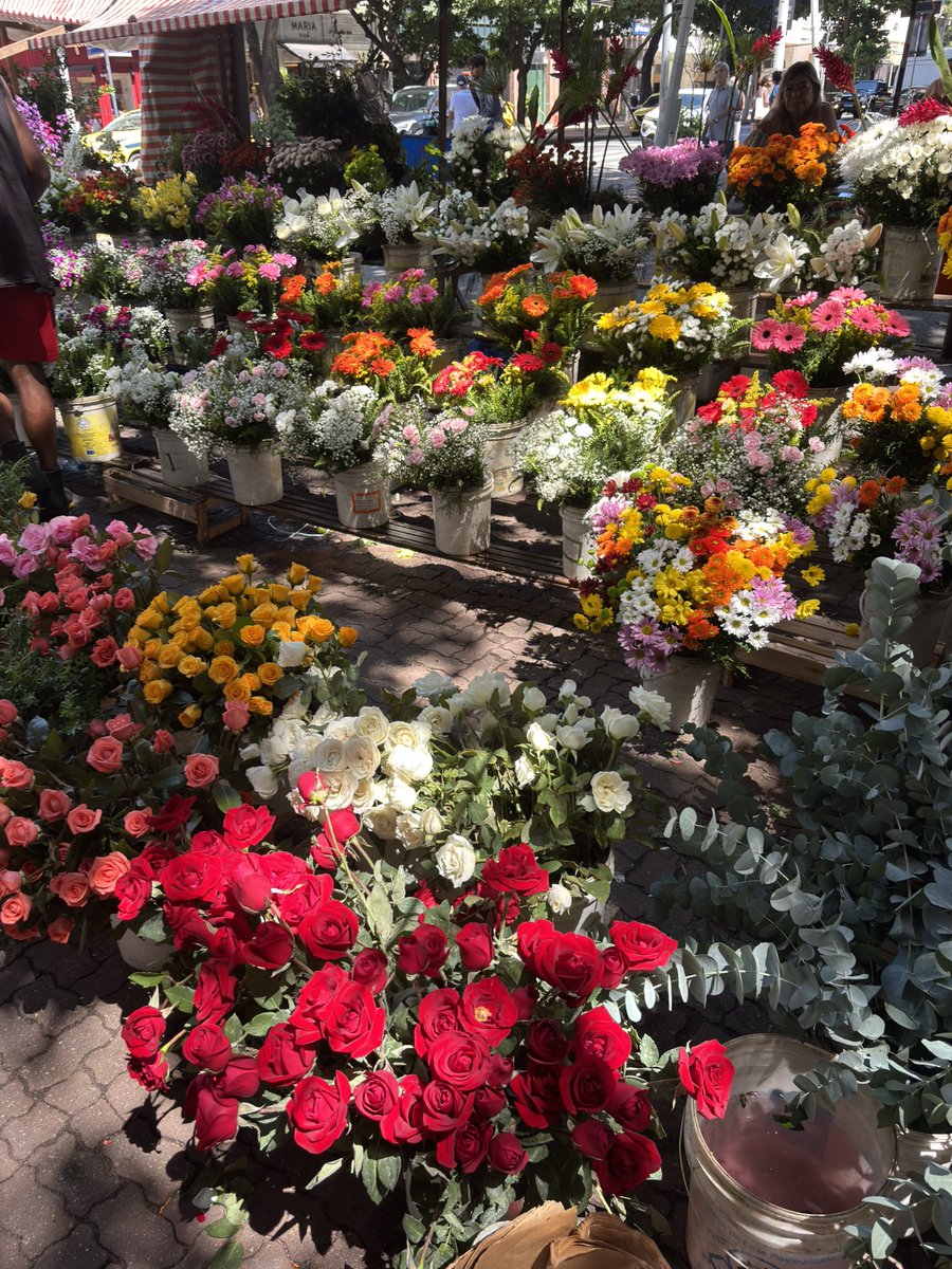 Brubrue✨🦋✨ tweet media