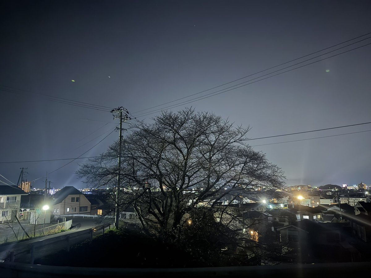 ニホンカワウソ幻(げん)ちゃん【公式】 tweet media