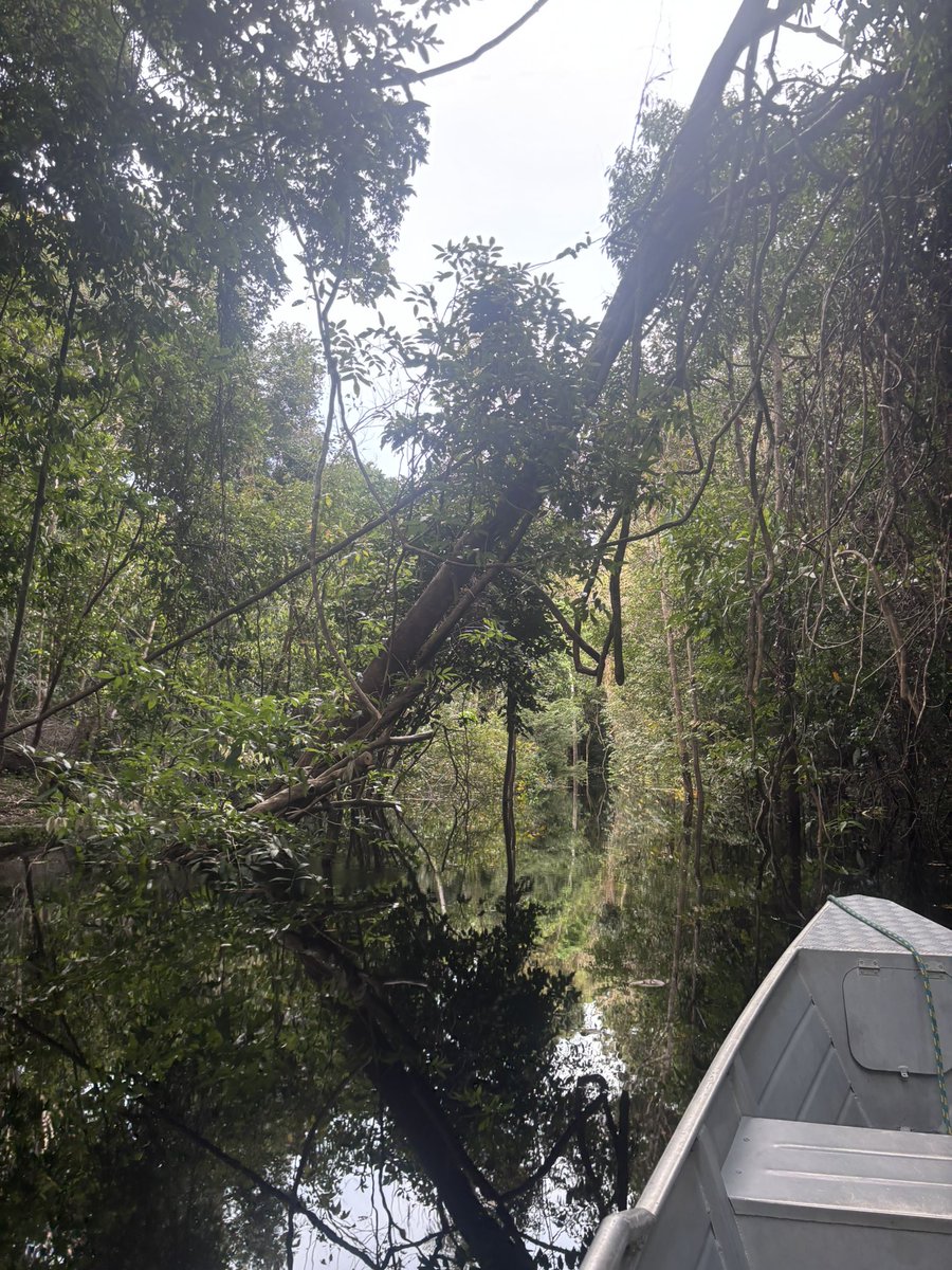 Cris 🇨🇴🇧🇷🏹🪇 tweet media