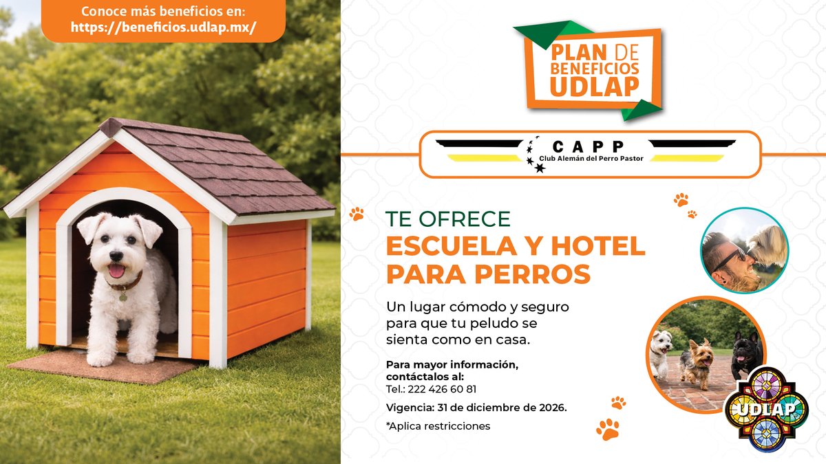 exaudlap tweet media