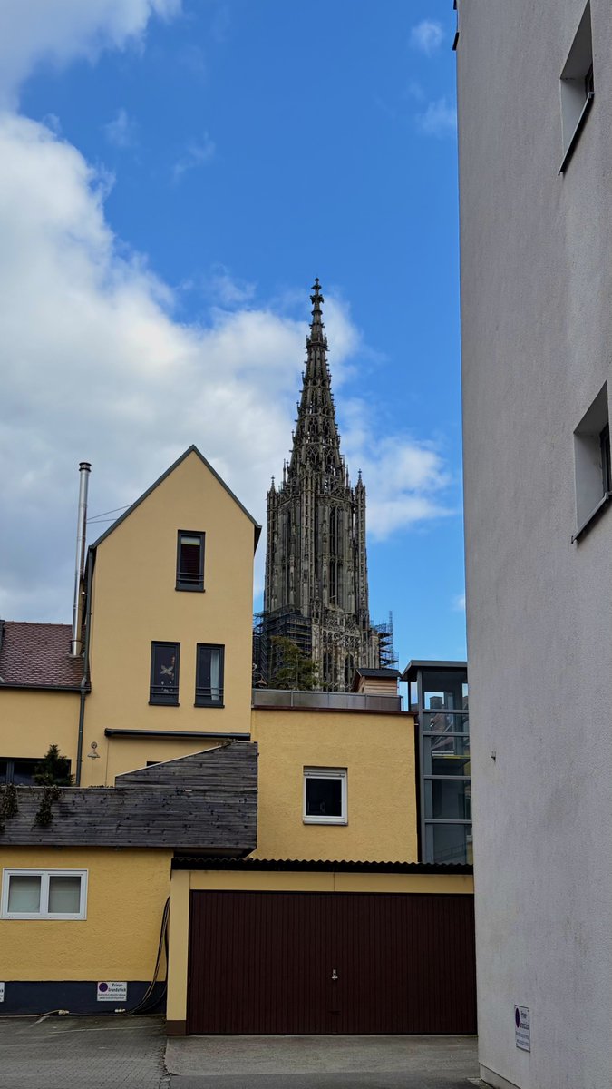 독일 와서 느끼는 건 종교가 사람들에게 엄청난 동기부여가 된다는 것... 그게 아니고서는 이렇게 거대하고 아름다운 건물을 몇 채씩이나 만들 수 있을리가 없다.