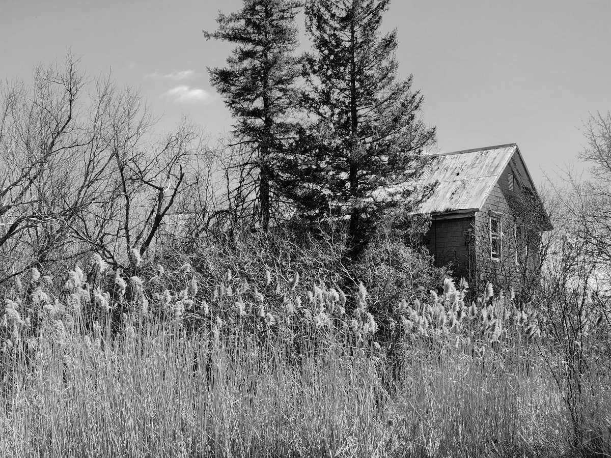 Danice (it's 'Danis' not Denise) tweet media