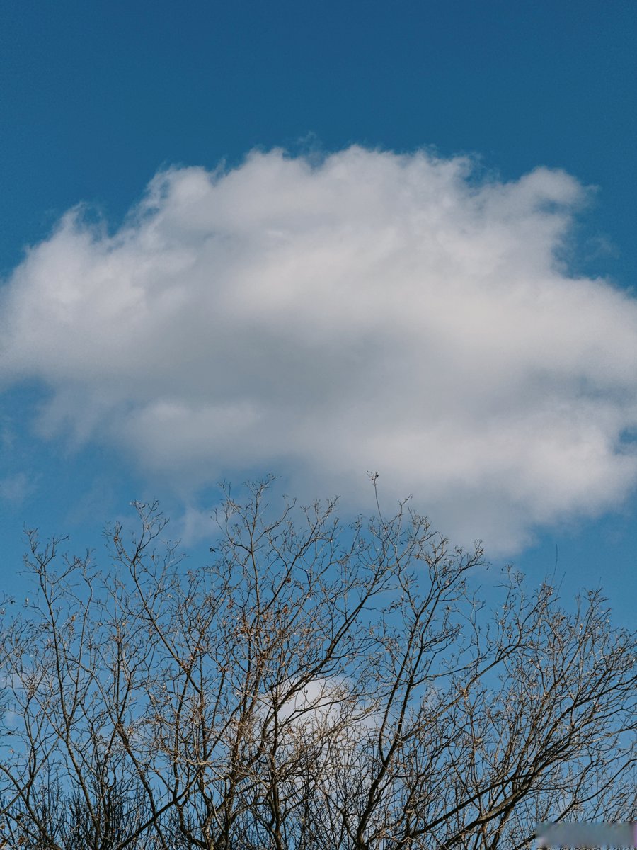 Sebastian Szewczyk tweet media