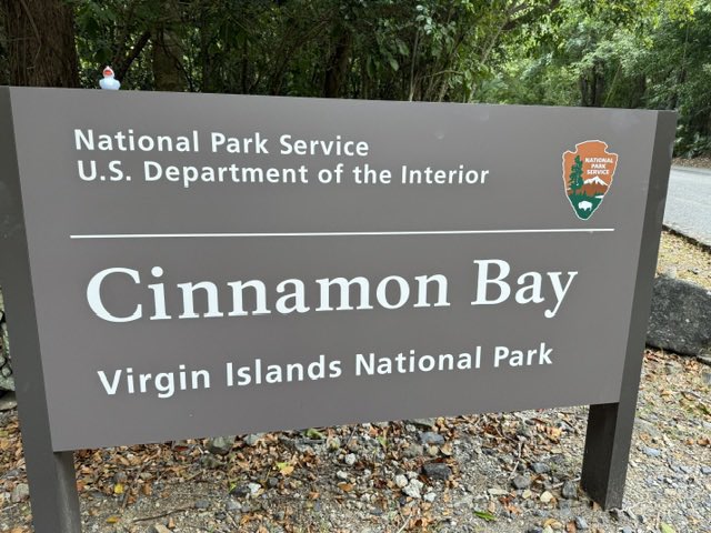 Dr. Todd, Executive Director of Early Learning tweet media