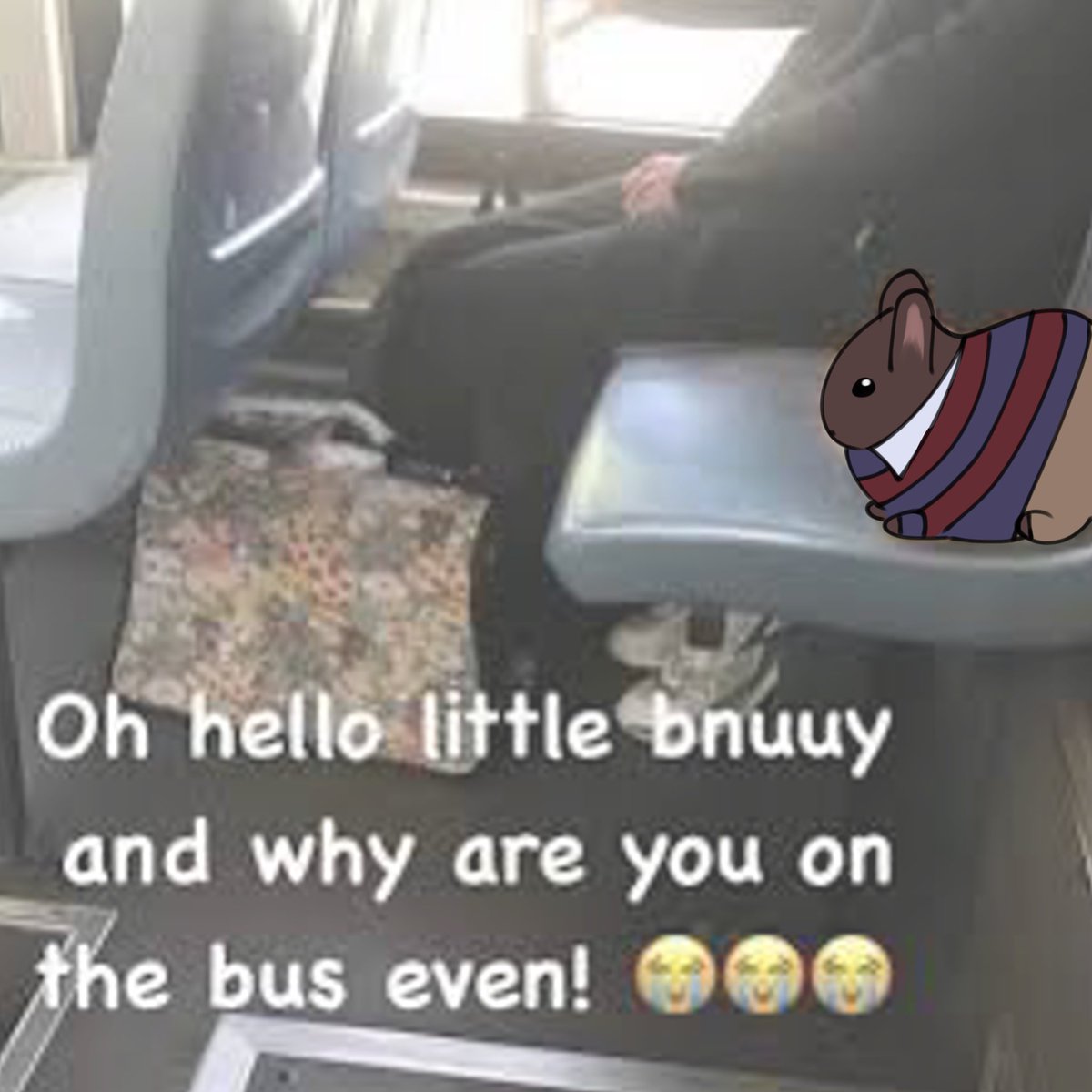 TOMODACHI LIFE 2!!!!! tweet media