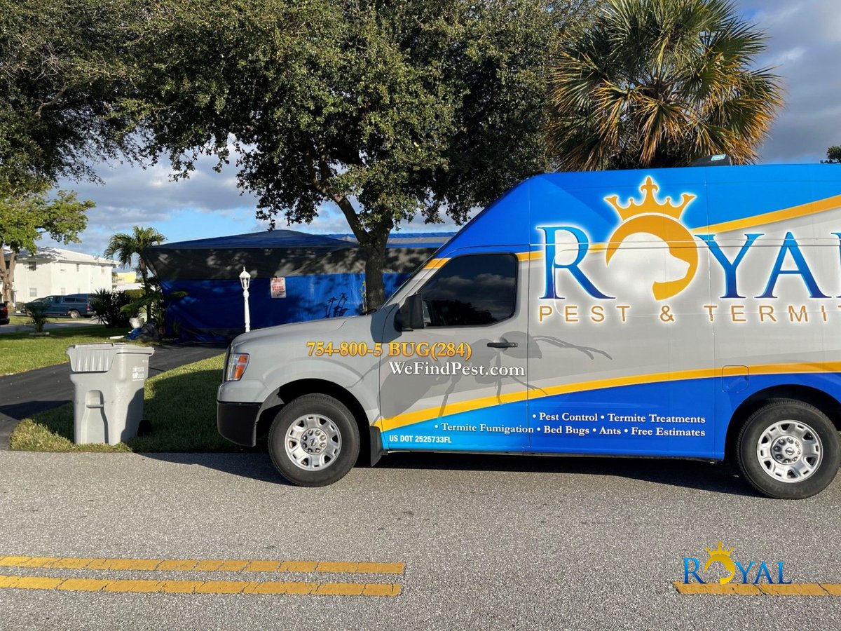 RoyalPest's tweet photo. 20+ years of local expertise at your service! 🏠 We’re proud multi-year 'Best of Miramar' winners, serving Miramar, Pembroke Pines, Davie, Weston &amp; Hollywood with pet-friendly solutions. 🛡️ Trust the local pros who follow through! 📞

#BestOfMiramar #PestControl #Expertise https://t.co/za3yptwqaH