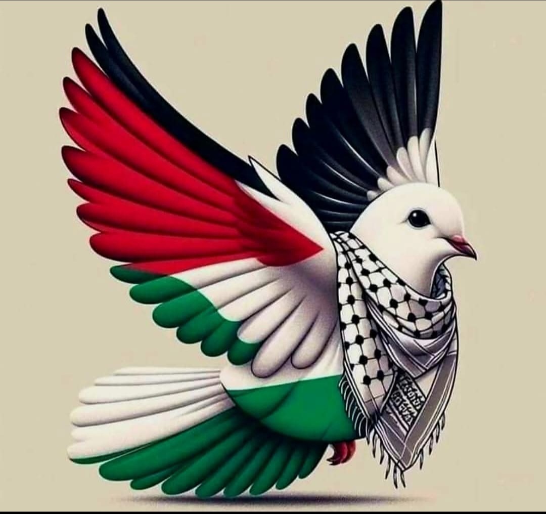 FATMA🇹🇷 tweet media