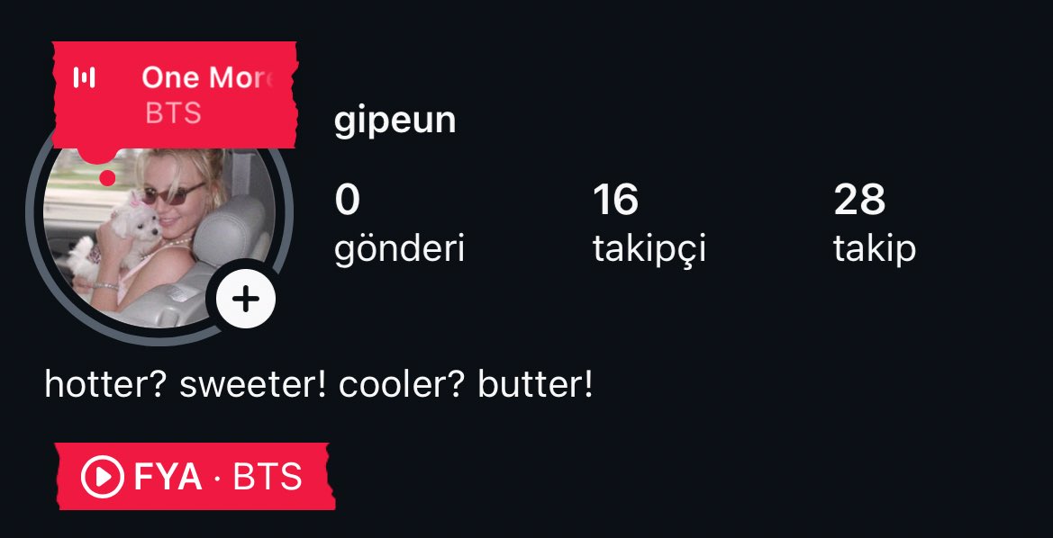 noktasız🪭 tweet media