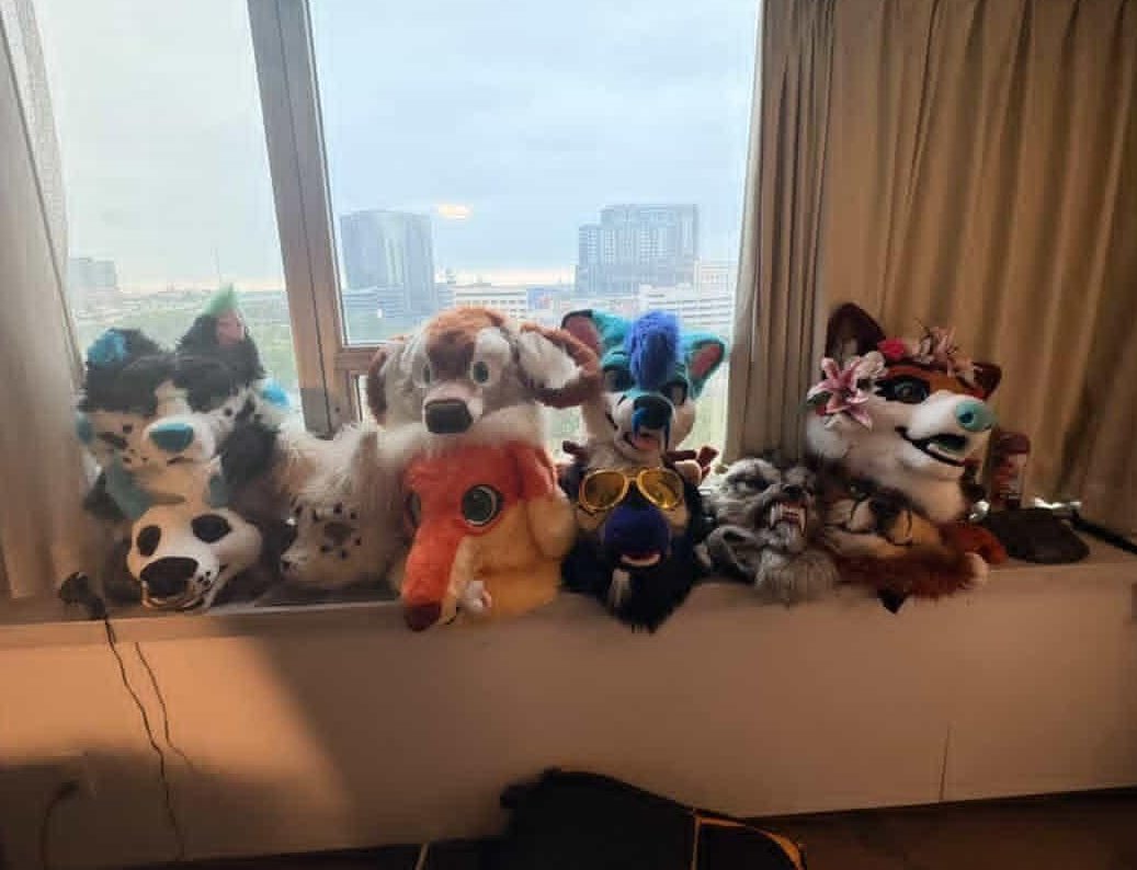 ✩˚Lynk˚✩ 🔜TFF tweet media