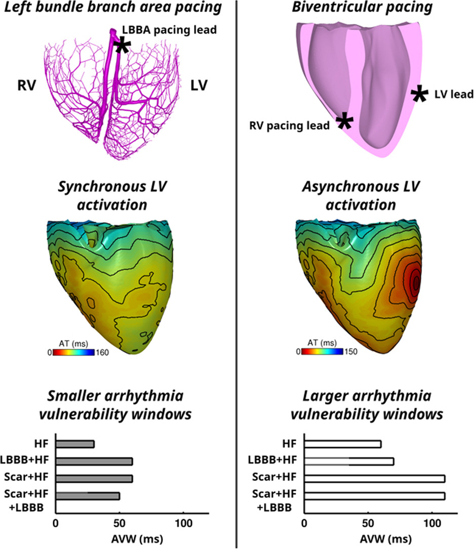 HeartRhythm tweet media