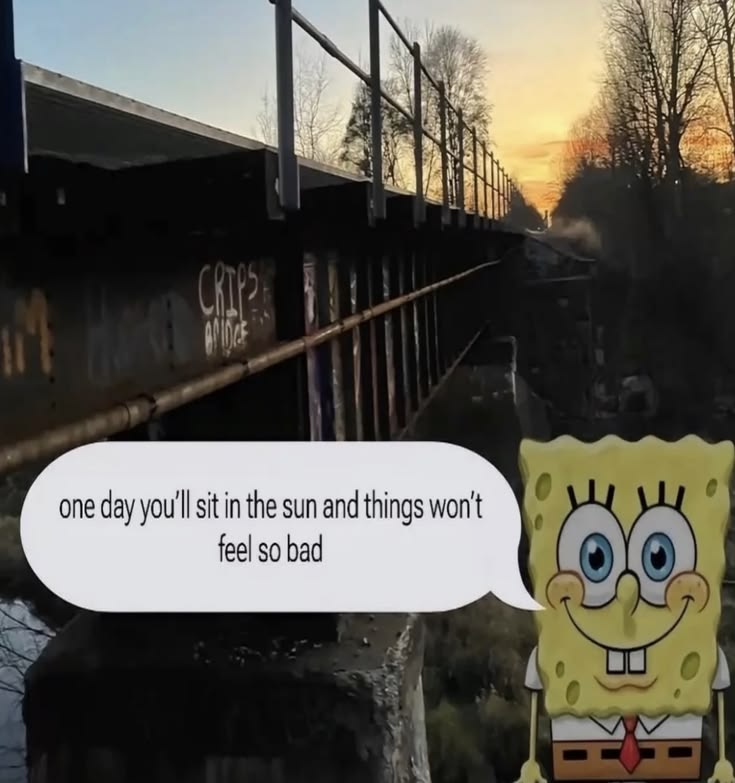 𝖈𝖍𝖆𝖇𝖆𝖟𝖎𝖙𝖊 tweet media