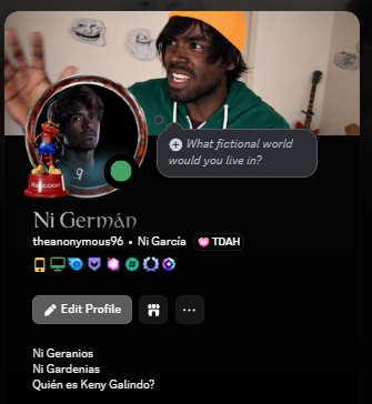 Os gusta mi perfil de Discord?