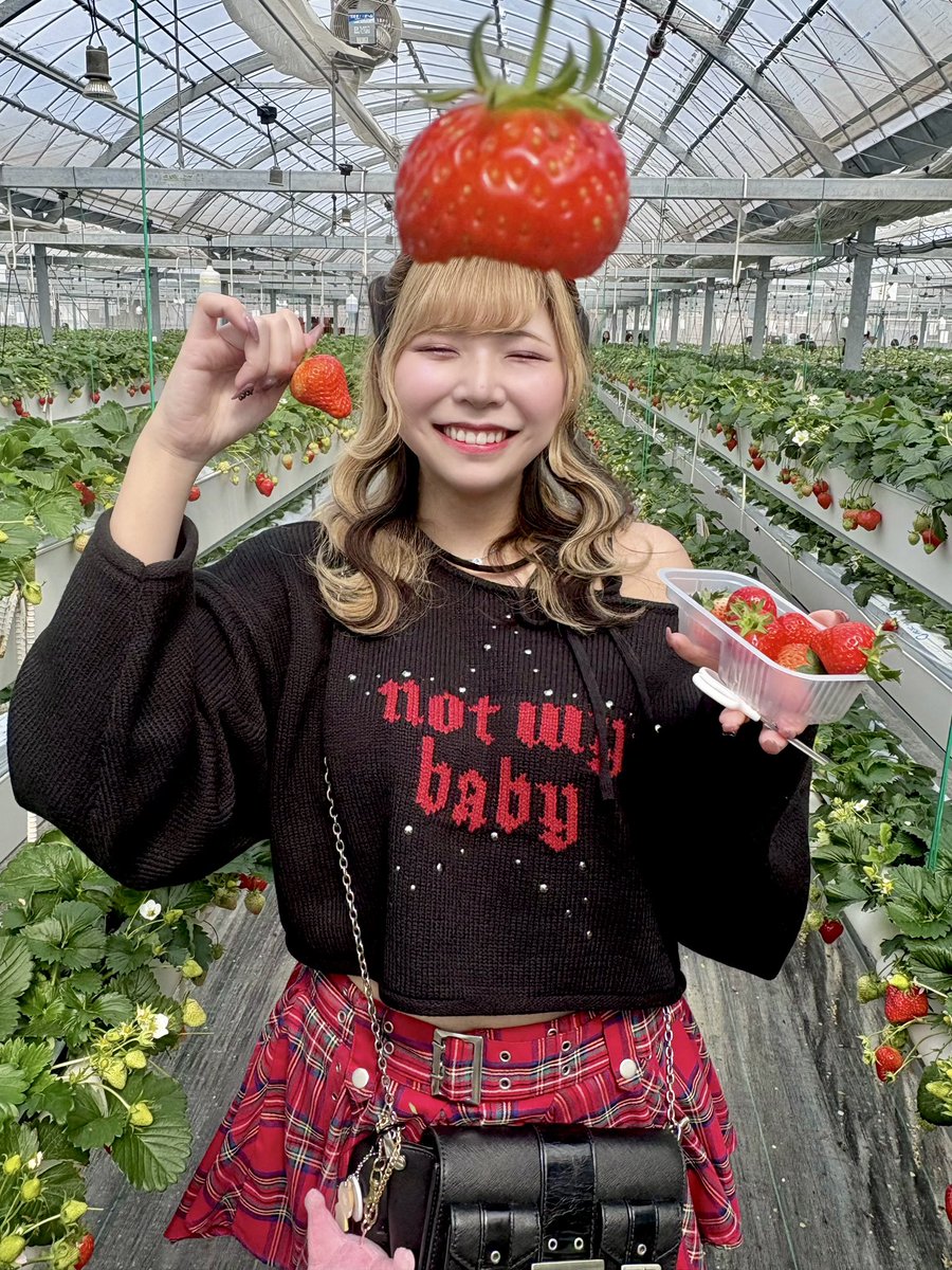 ぱんだ🍜🍺 tweet media