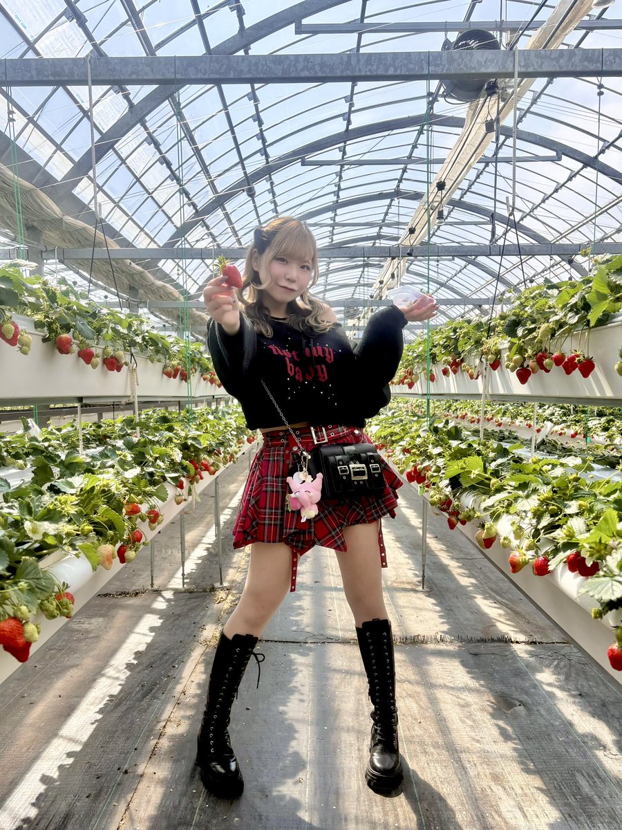 ぱんだ🍜🍺 tweet media