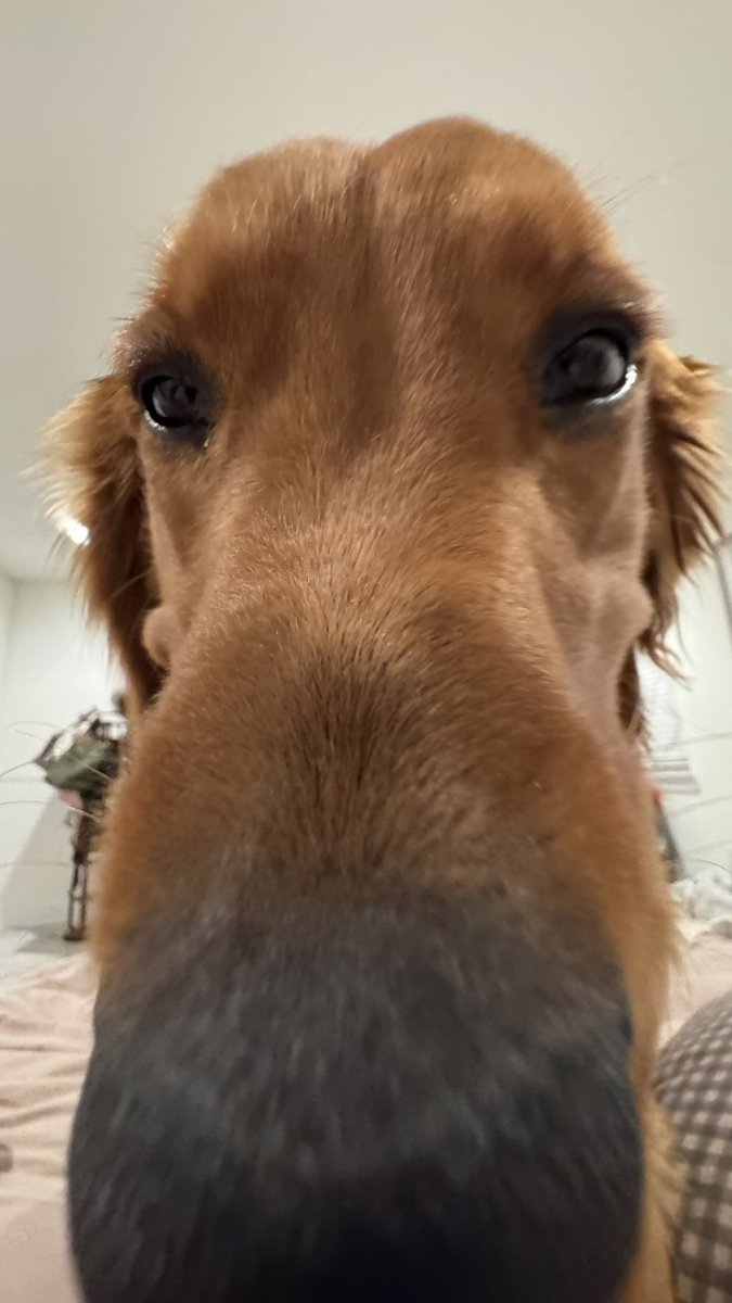 Jack Saltel tweet media