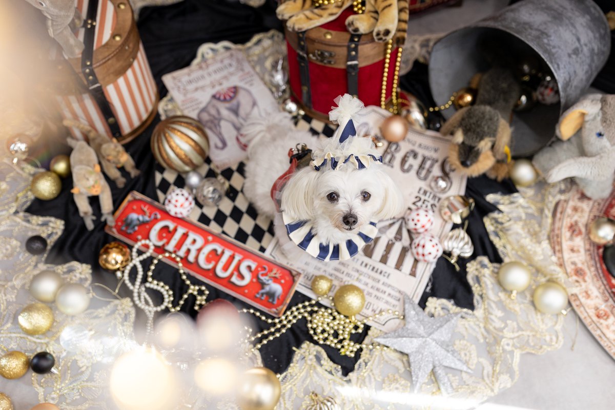 JAMPOT / 大阪中崎町 tweet media