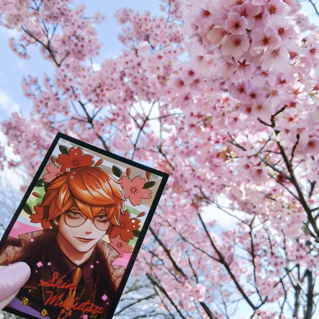 ｱｻｸﾗ tweet media