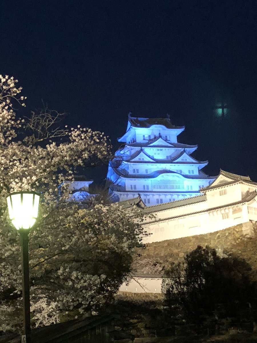 say0666's tweet photo. 8年前の写真ですが、毎年4/2に世界自閉症啓発デーのブルーライトアップで青くライトアップされた姫路城と。

#サタジャン3
#桜
#世界自閉症啓発デー
#ブルーライトアップ https://t.co/QXbQaZxZnt