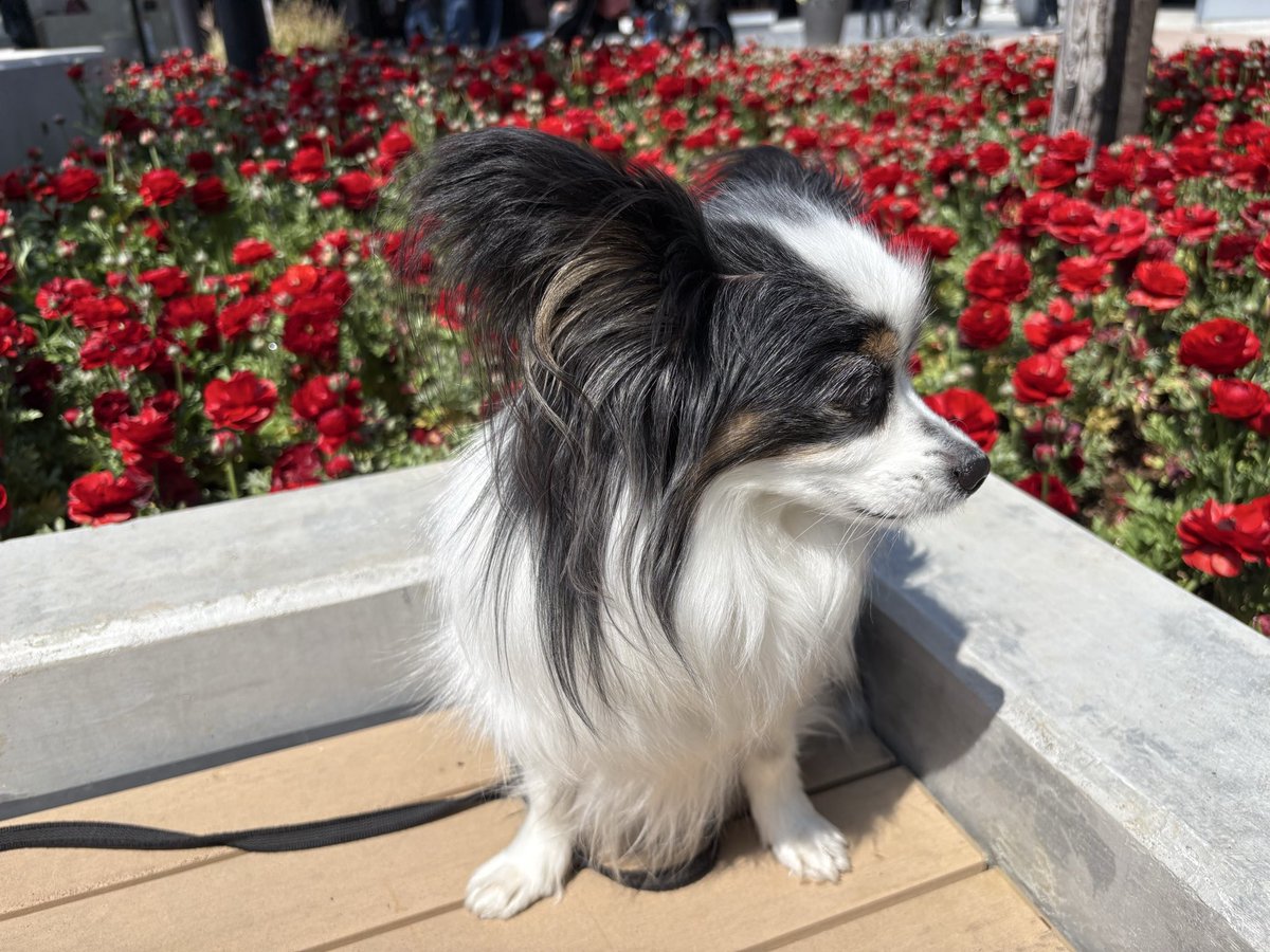 こっち向け〜〜〜〜