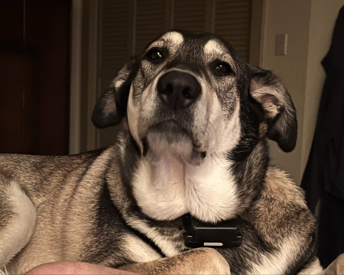 SamanthaofSarcasm tweet media