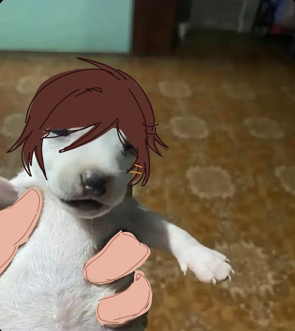 rodya #outistwt tweet media