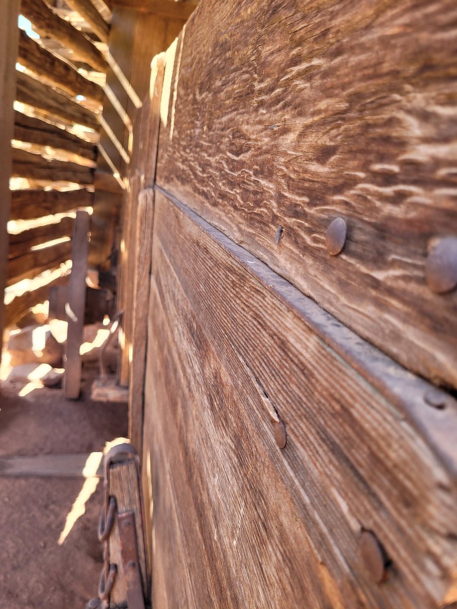 Stephen C. Schultz tweet media