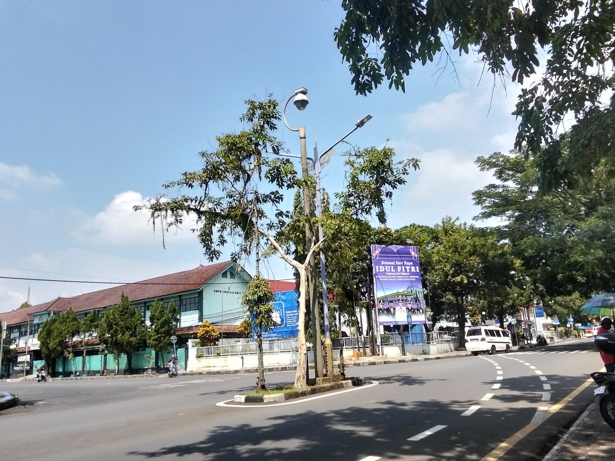 ICE BEAR/北极熊🐻❄️ tweet media