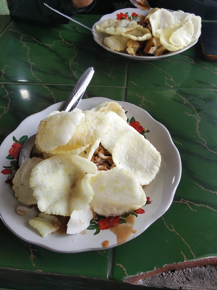 ICE BEAR/北极熊🐻❄️ tweet media